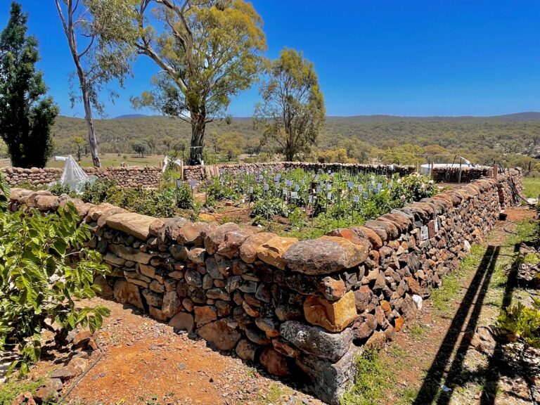 KDSW Garden Wall 768x576