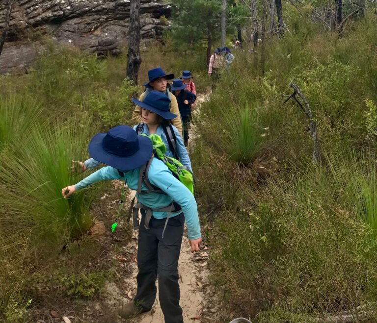 RedGum Camp Walk 768x659