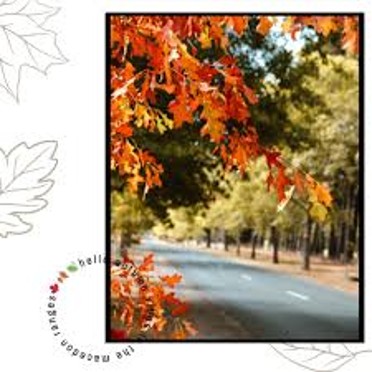 keatings tree care photo