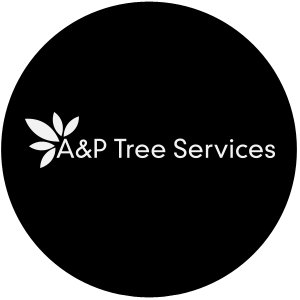 AP tree logo